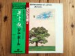 画像1: Jim Hall / 無言歌 - Jazz Impressions Of Japan (1)
