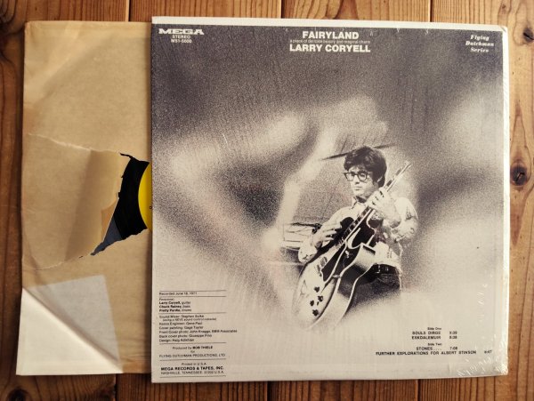 画像2: Larry Coryell / Fairyland (2)