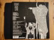 画像3: Gabor Szabo / Dreams (3)