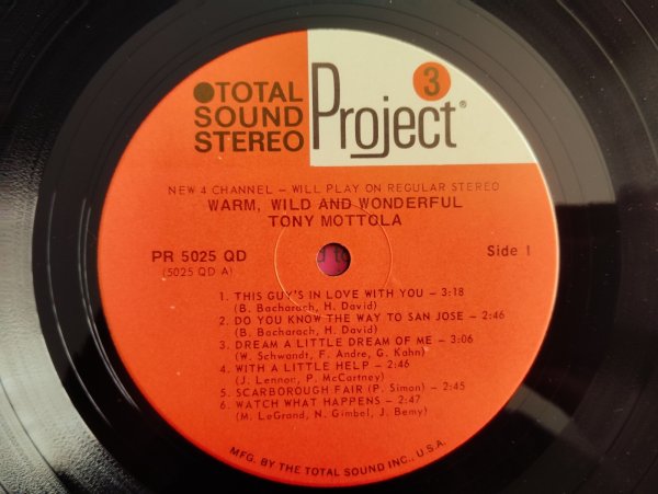 画像3: Tony Mottola With The Groovies / Warm, Wild & Wonderful (3)