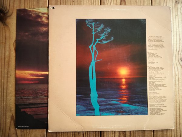画像2: Lani Hall / Sun Down Lady (2)