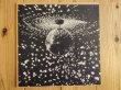 画像1: Neil Young / Mirror Ball (1)