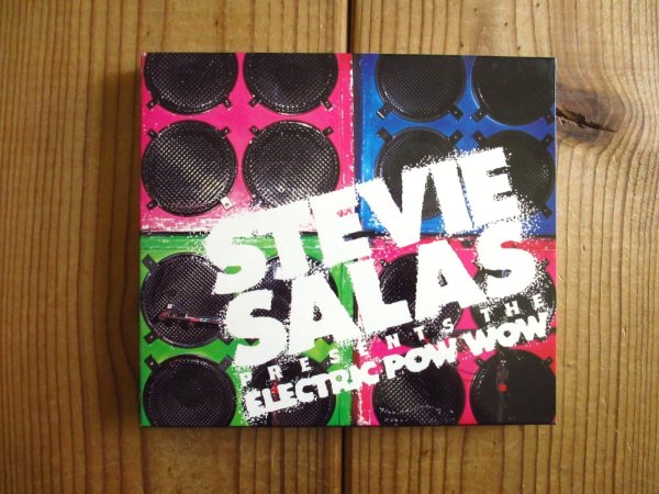 画像1: Stevie Salas / The Electric Pow Wow (1)