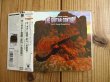 画像3: 2枚セット！Vol.1は未開封デッドストック！■V.A. (Dream Theater, Mr. Big, Deep Purple, Yngwie Malmsteen, etc.) / ギター世紀 ~ Young Guitar Presents: The Guitar Century Vol.1 & 2 (3)