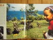 画像2: Eric Clapton / Reptile (2)