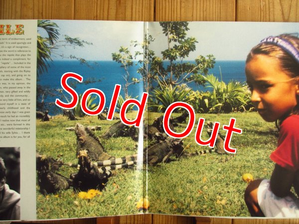 画像2: Eric Clapton / Reptile (2)