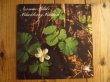 画像1: Norman Blake / Blackberry Blossom (1)