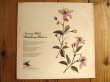 画像2: Norman Blake / Blackberry Blossom (2)