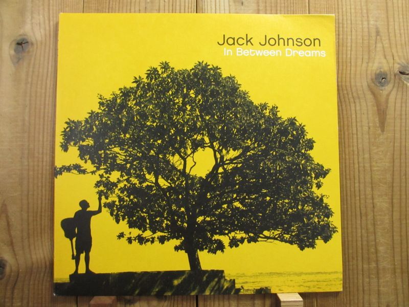 Jack Johnson / In Between Dreams Guitar Records