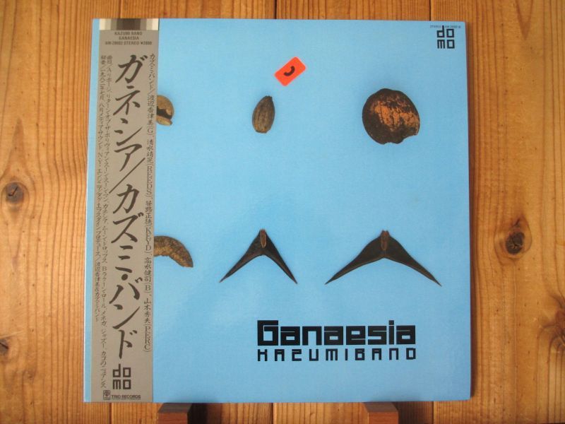 Kazumi Band - 渡辺香津美 / Ganaesia = ガネシア - Guitar Records