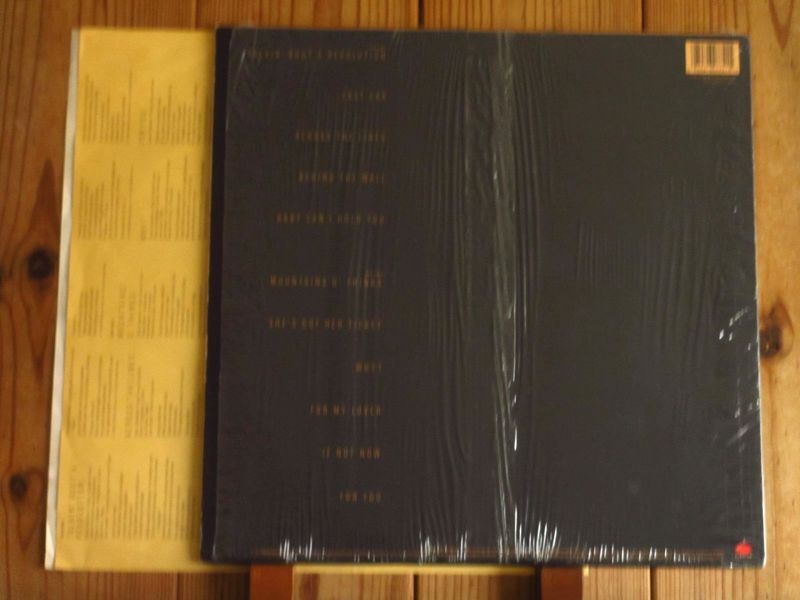 TRACY CHAPMAN『S/T』LP アナログ レコード NC0yOTI0LmpwZWc.jpeg