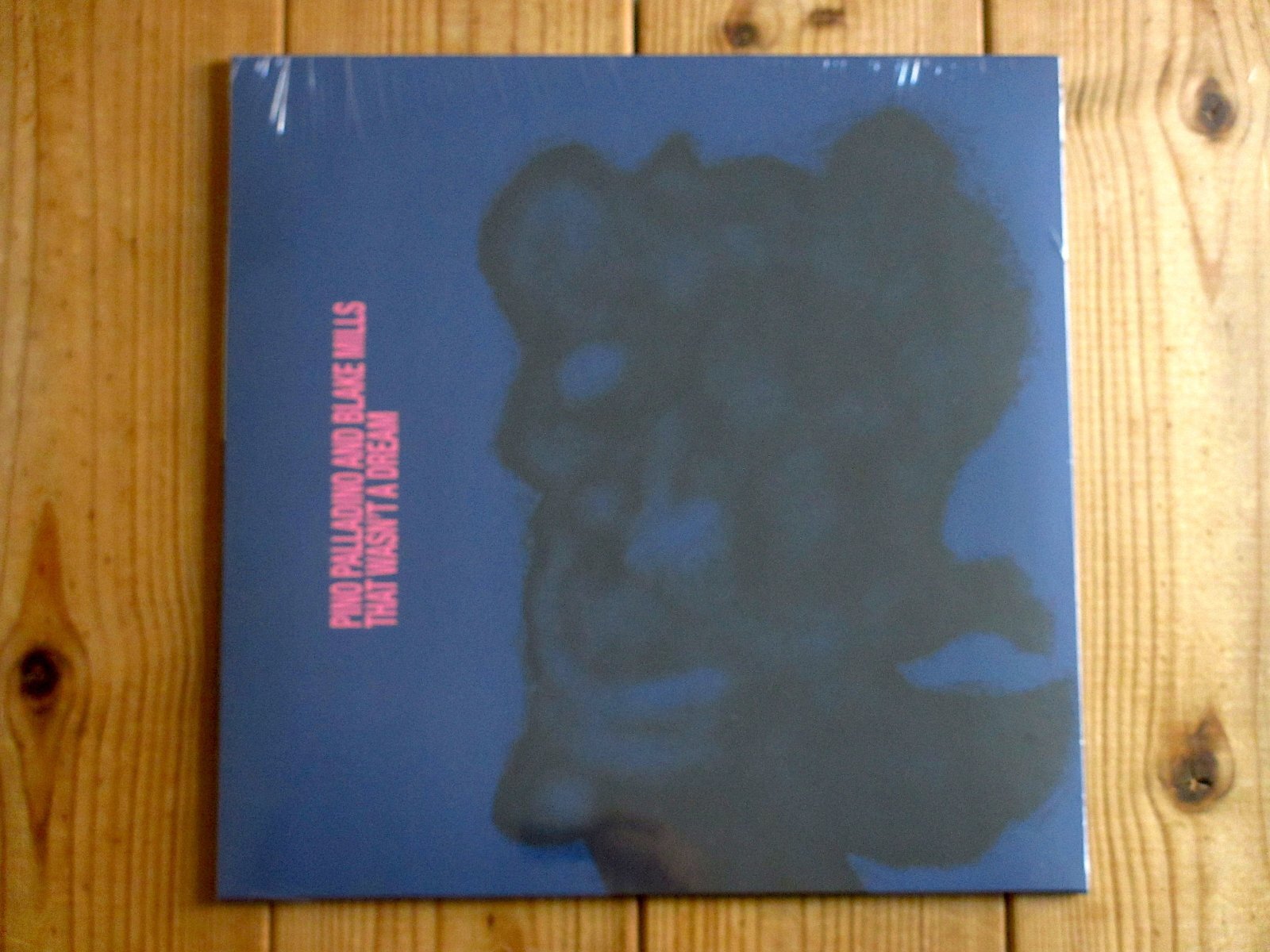 ピノパラディーノ(b)とブレイクミルズ(g)によるコラボレーション