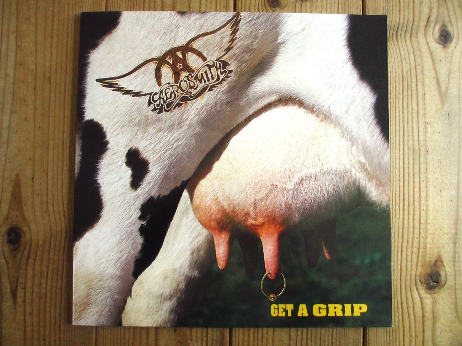 Aerosmith / Get A Grip - Guitar Records